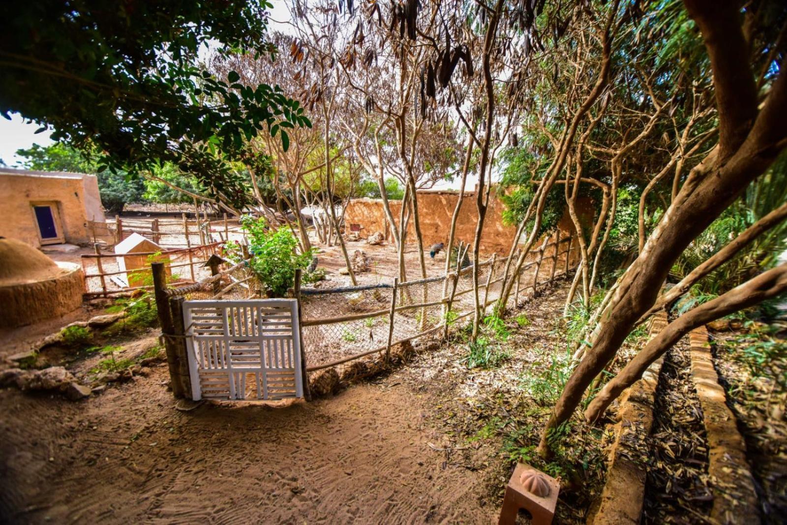 Dar Tawarta Guest House Ad-Dakhla Exterior foto